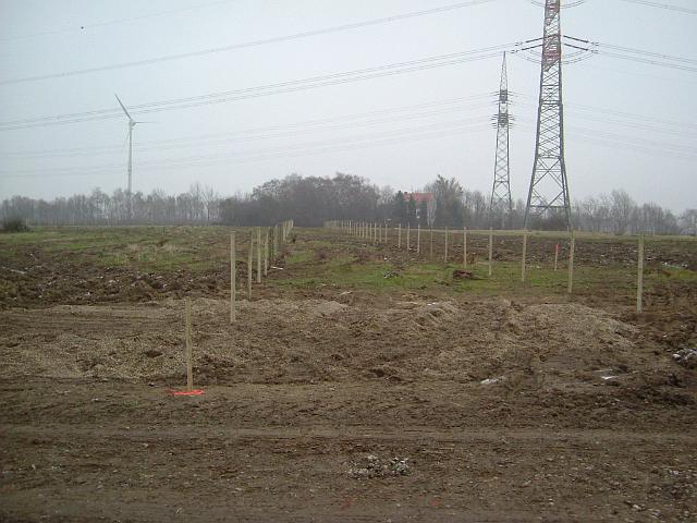 2004_1212_123756.JPG - Flächen der zukünftigen Mulden werden eingezäunt, damit sie während der Bauarbeiten nicht befahren werden.