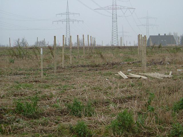 2004_1212_130308.JPG - Flächen der zukünftigen Mulden werden eingezäunt, damit sie während der Bauarbeiten nicht befahren werden.