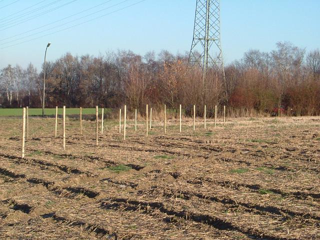 2004_1215_122010.JPG - Flächen der zukünftigen Mulden werden eingezäunt, damit sie während der Bauarbeiten nicht befahren werden.