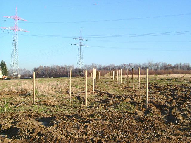 2004_1216_220302.JPG - Flächen der zukünftigen Mulden werden eingezäunt, damit sie während der Bauarbeiten nicht befahren werden.