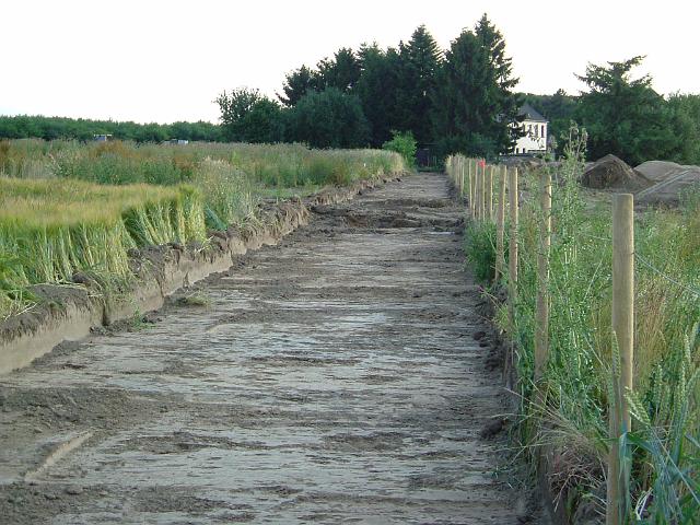 2005_0705_192408.JPG - Fläche für die rechte Mulde hinter dem Altbestand Richtung Westen - Der Mutterboden ist abgetragen.