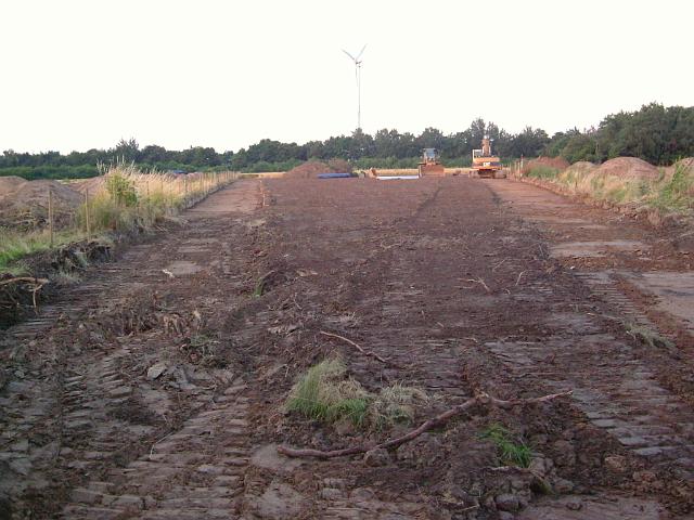 2005_0711_204049.JPG - Hinter dem Altbestand Richtung Osten - rechts und links die Flächen für die Mulden - in der Mitte die Versickerungsfläche