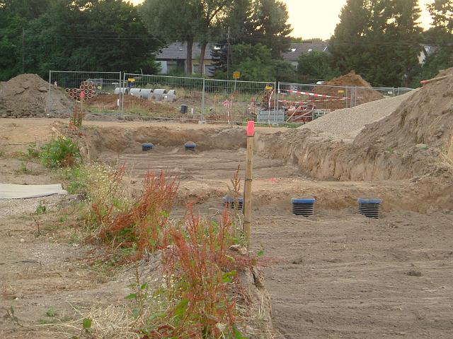 2005_0718_200814.JPG - Große Mulde südl. des Altbestandes Richtung Westen - Die Sandschicht ist mit Mutterboden abgedeckt.