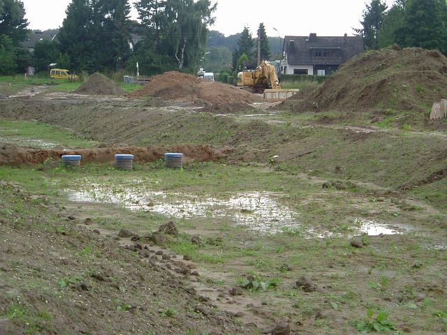 2005_0814_163230.JPG - Große Mulde südl. des Altbestandes