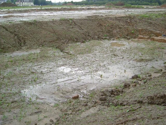 2005_0814_163244.JPG - Große Mulde südl. des Altbestandes