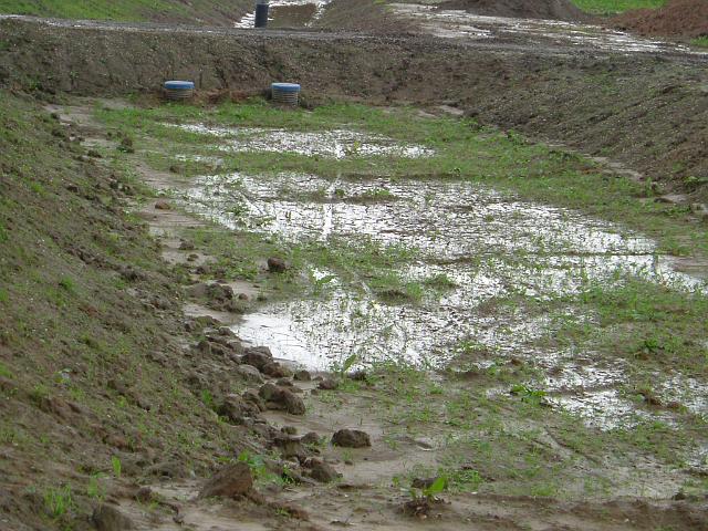 2005_0814_163402.JPG - Große Mulde südl. des Altbestandes