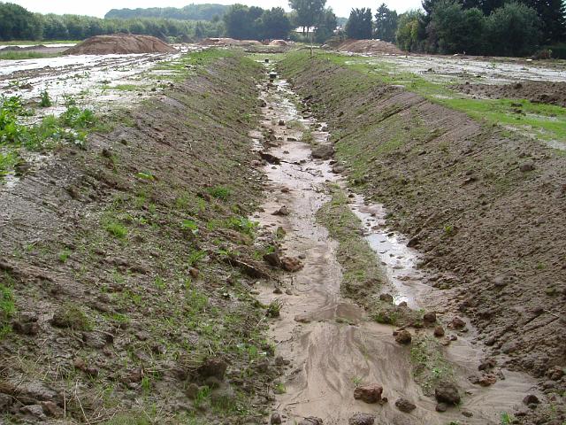 2005_0814_163830.JPG - Große Mulde südl. des Altbestandes Richtung Westen