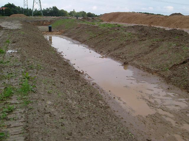 2005_0814_170952.JPG - Mulde südl. vom Altbestand - Die südl. Böschung wurde vom Regen ausgespült.