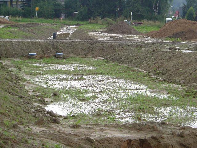 2005_0814_171648.JPG - Große Mulde südl. des Altbestandes Richtung Westen, dazwischen der Rhönweg