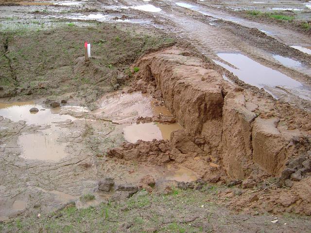 2005_0814_173846.JPG - Übergang Mulde - durch Regen ausgeschwemmt und ausgebrochen