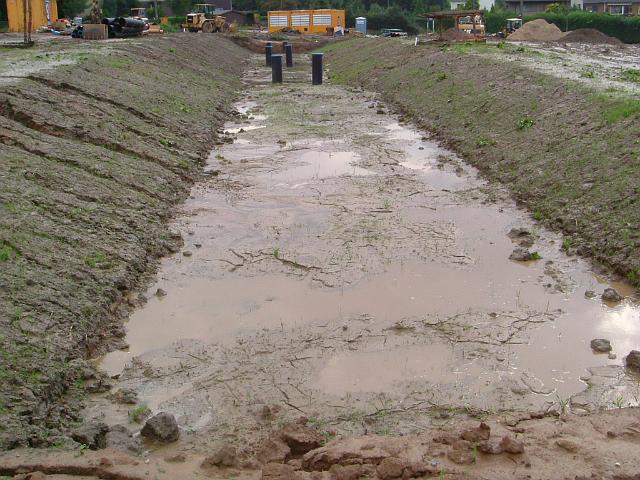 2005_0814_173914.JPG - Große Mulde nördl. des Altbestandes Richtung Westen