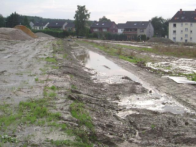 2005_0814_220258.JPG - Kleine Mulde südl. des Bauträgerbereiches Richtung Westen - Mulde ist kaum zu erkennen.