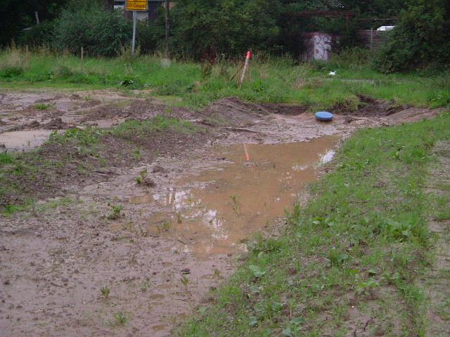 2005_0815_201133.JPG - Mulde südl. des Altbestandes zwischen Rhönweg und Ewald-Görshop-Straße Richtung Westen - auch hier Ausschwemmungen