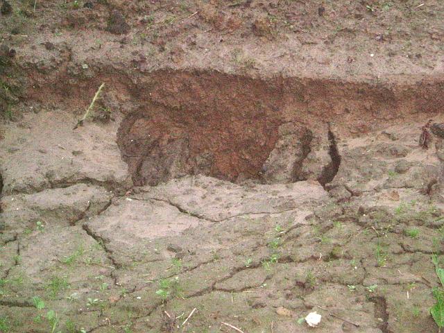 2005_0815_201601.JPG - Muldeneinbruch durch Regen