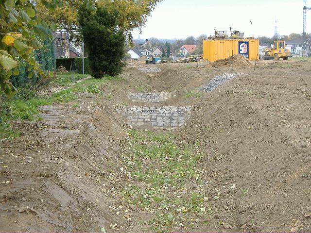 2005_1112_124829.JPG - Süd-Nord-Mulde hinter dem Altbestand Richtung Norden - Mulde  und Muldenüberläufe sind modelleirt.