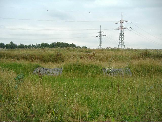 2006_0809_172406.JPG - Große Mulden östl. der Ewald-Görshop-Straße - Mulden sind kaum noch zu erkennen.