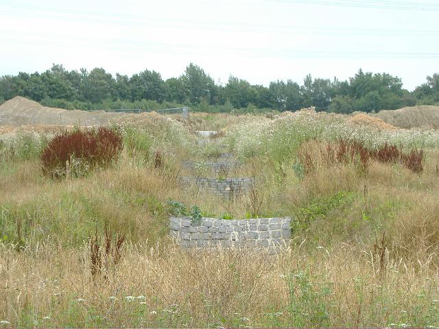 2006_0809_173217.JPG - Mittlere Mulde im Bauträgerbereich -  Blickrichtung: Osten - Mulden sind kaum noch zu erkennen.