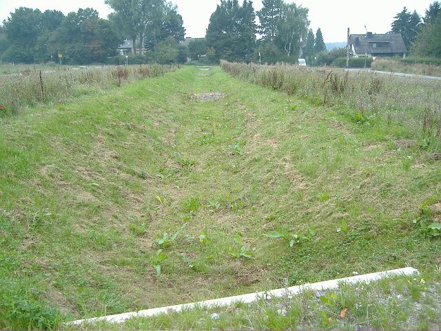 2006_0917_175530.JPG - Mulde südl. des Altbestandes zwischen Rhönweg und Ewald-Görshop-Straße Richtung Westen - im Vordergrund der Muldenübergang unterhalb des Rhönwegs zur großen Mulde südl. des Altbestandes