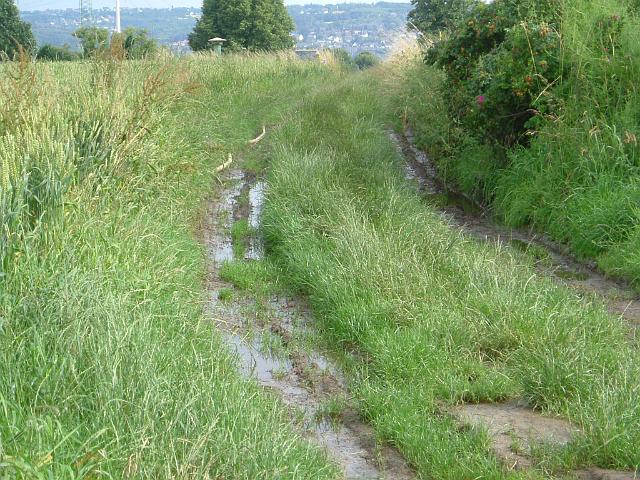 2004_0710_174222.JPG - Rhönweg (ehem. Salinger Weg) in Höhe der Schonung - Blickrichtung: Süden