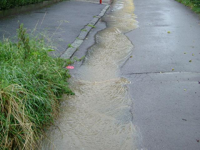 2004_0826_152002.JPG - Rhönweg (ehemaliger Salinger Weg) im alten Verlauf