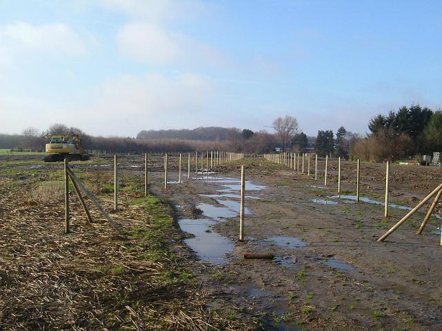 2004_1219_114405.JPG - Südl. des Altbestandes Richtung Westen - Der eingezäunte Bereich ist die Fläche für die große Mulde.