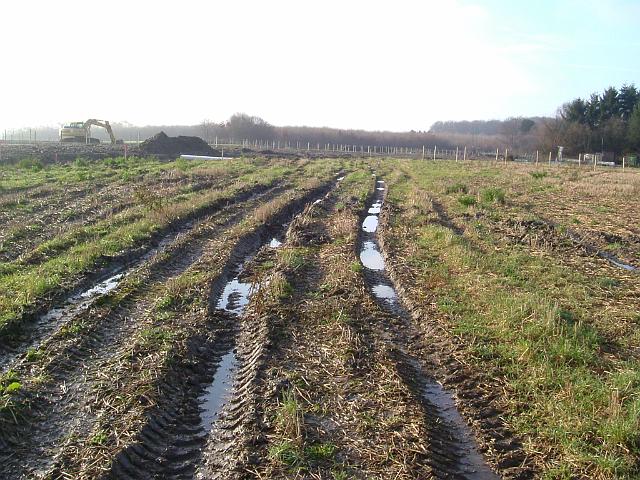 2004_1219_114542.JPG - Südl. des Altbestandes Richtung Westen - Verdichtung des Bodens durch Befahren