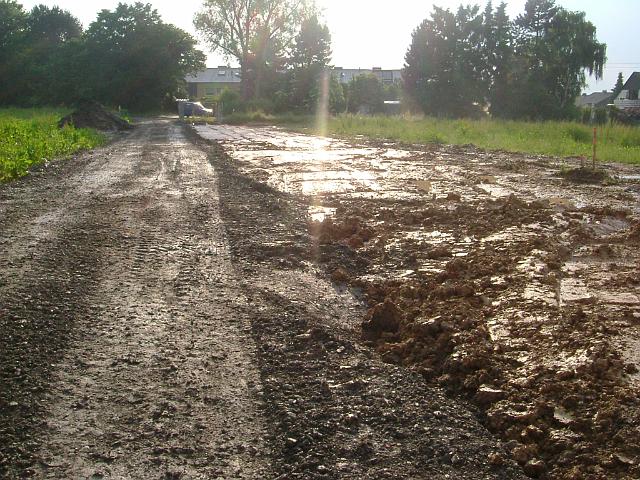 2005_0531_182316.JPG - Südl. des Altbestandes zwischen Rhönweg und Ewald-Görshop-Straße Richtung Westen