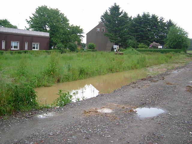 2005_0606_100730.JPG - Zwischen Ewald-Görshop-Straße und Rhönweg südl. des Altbestandes - Blickrichtung: Nord/Ost