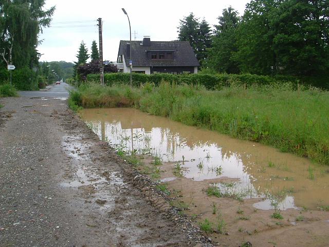 2005_0606_100804.JPG - Zwischen Rhönweg und Ewald-Görshop-Straße südl. des Altbestandes - Blickrichtung: Westen