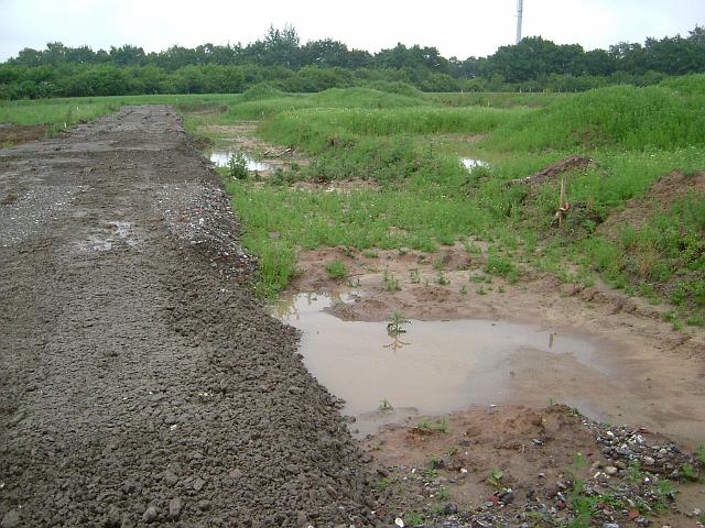 2005_0606_102925.JPG - Archäologische Grabungsfläche zwischen Altbestand und Bauträgerbereich Richtung Osten