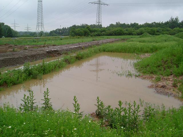 2005_0606_103137.JPG - Archäologische Grabungsfläche zwischen Altbestand und Bauträgerbereich Richtung Nord/Ost