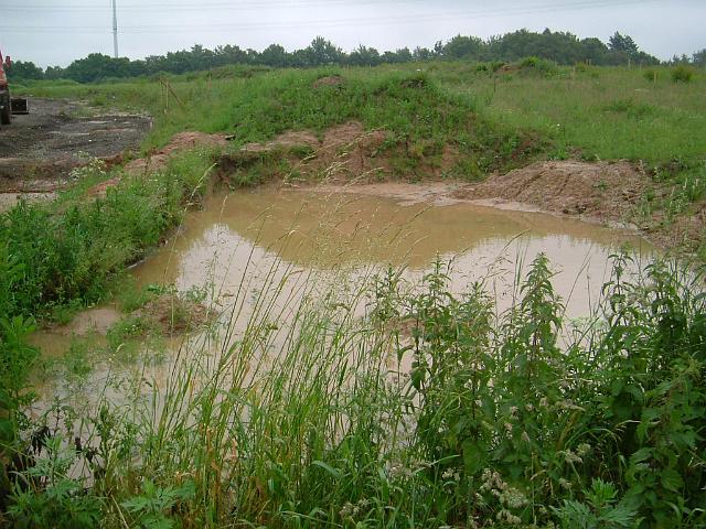 2005_0606_103624.JPG - Archäologische Grabungsfläche zwischen Altbestand und Bauträgerbereich Richtung Osten