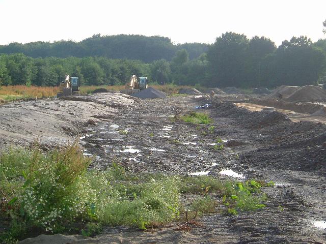 2005_0704_183433.JPG - Südl. des Altbestandes zwischen Rhönweg und Ewald-Görshop-Straße Richtung Westen