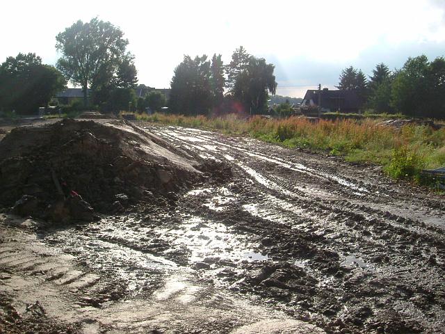 2005_0704_220706.JPG - Südl. des Altbestandes zwischen Rhönweg und Ewald-Görshop-Straße Richtung Westen