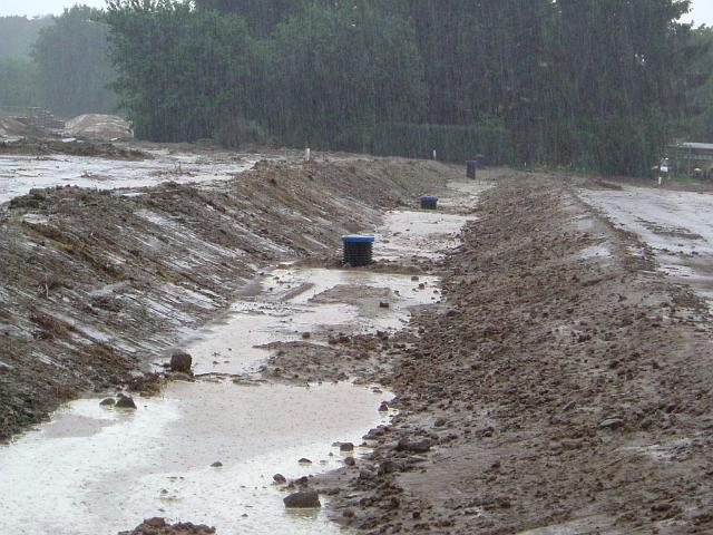 2005_0727_190726.JPG - Mulde östl. des Altbestandes Richtung Westen