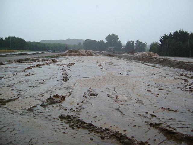 2005_0727_190858.JPG - Südl. des Altbestandes Richtung Westen