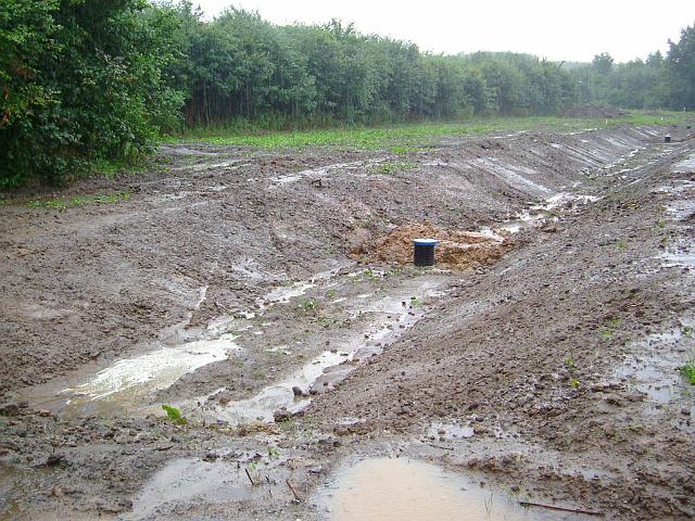 2005_0727_191148.JPG - Mulde vor der Schonung