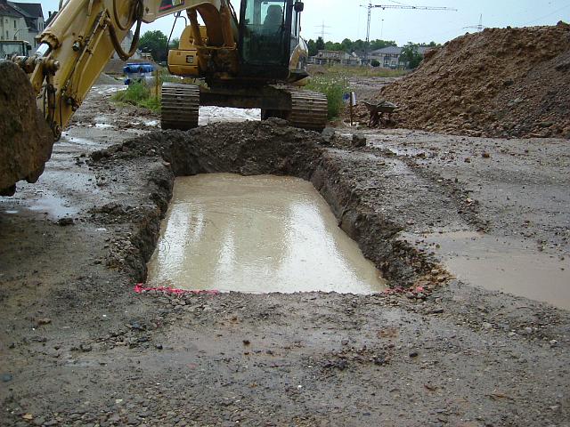 2005_0728_144436.JPG - Nördl. des Altbestandes beim Mulden-Rohr-Rigolenbau - Blickrichtung: Norden