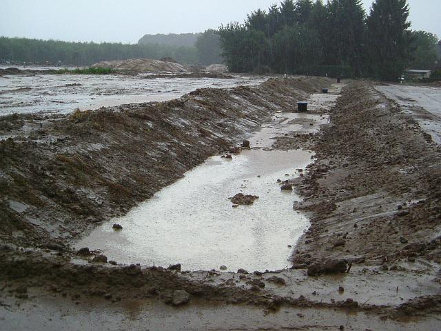 2005_0728_145118.JPG - Mulde östl. des Altbestandes Richtung Westen