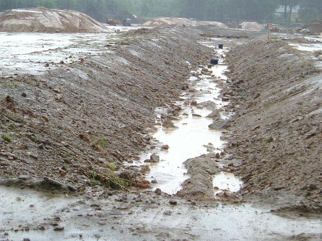 2005_0728_145244.JPG - Große Mulde südl. des Altbestandes Richtung Westen