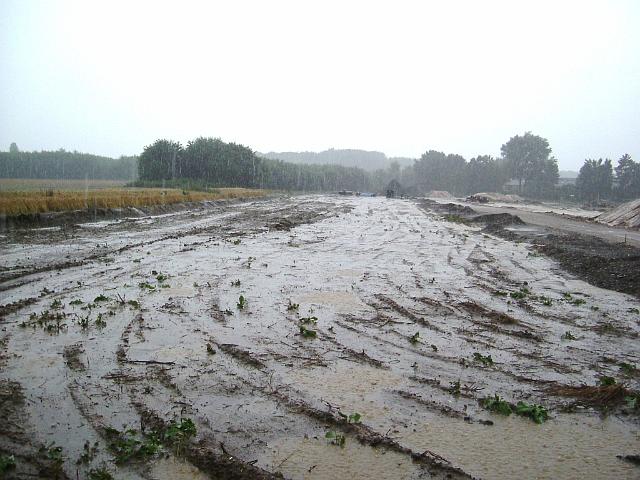 2005_0728_145328.JPG - Südl. des Altbestandes Richtung Westen