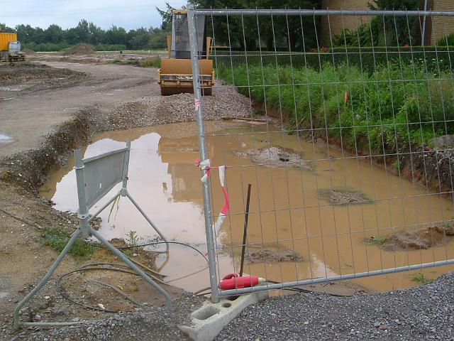 2005_0814_164717.JPG - Straßenbau östl. des Rhönwegs und nördl. des Altbestandes Richtung Osten