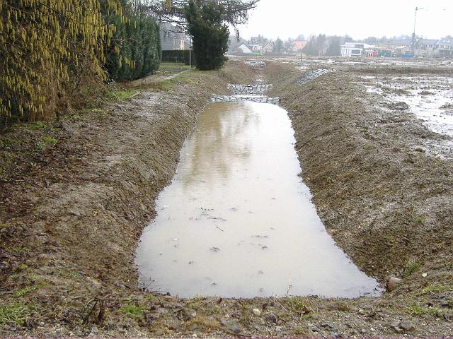 2006_0309_112654.JPG - Süd-Nord-Mulde östl. des Altbestandes - Blickrichtung: Norden - rechts die verdichteten und undurchlässigen Flächen -  Die Kontrollmöglichkeiten der Rigole sind verhältnismäßig eingeschränkt. Die Rigole kann sich nicht selbst regenerieren. Sollte die Kiespackung verschlemmen, muss die ganze Rigole neu erstellt werden. Die Mulden müssen regelmäßig kontrolliert und gereinigt werden.