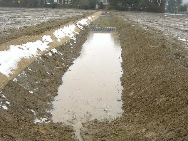 2006_0309_112845.JPG - Mulde südl. des Altbestandes zwischen Rhönweg und Ewald-Görshop-Straße Richtung Westen