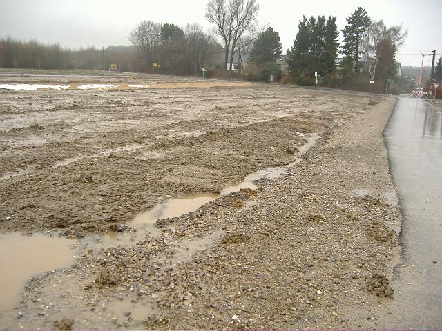 2006_0309_112958.JPG - Südl. des Altbestandes zwichen Rhönweg und Ewald-Görshop-Straße Richtung Westen - schlechte Versickerung