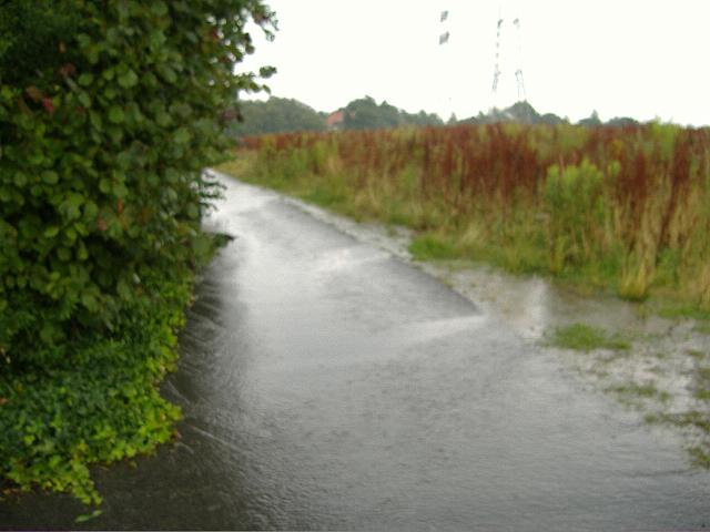 2008_0726_172339.JPG - Straße südl. des Altbestandes - Das Wasser fließt von der ehemaligen Ackerflächen auf die Straße.