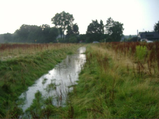 2008_0726_172409.JPG - Mulde südl. des Altbestandes zwischen Rhönweg (ehem. Salinger Weg) und Ewald-Görshop-Straße - Blickrichtung: Westen