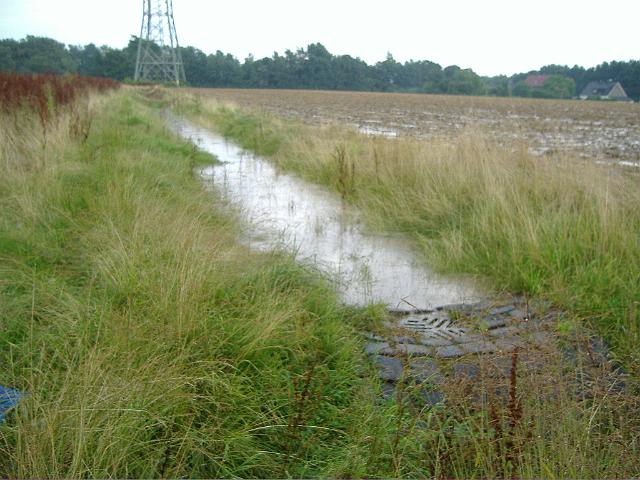 2008_0726_172610.JPG - Südlichste Mulde Richtung Osten - Auf der rechts angrenzenden Ackerfläche steht das Wasser.