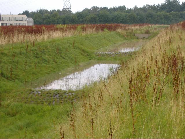 2008_0726_173453.JPG - Große Mulde südl. des Bauträgerbereiches - Blickrichtung: Nord/Ost