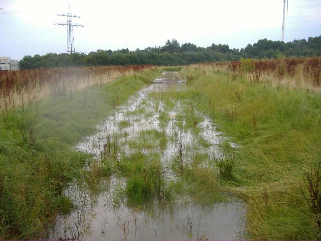 2008_0726_173703.JPG - Große Mulde südl. des Bauträgerbereiches - Blickrichtung: Nord/Ost